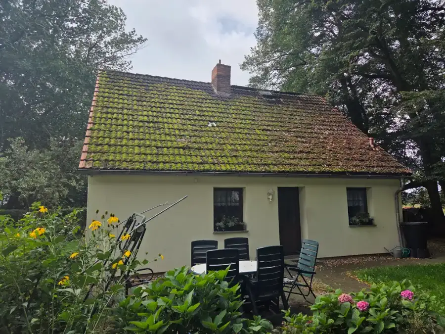 Dach vor der Reinigung – starker Moosbewuchs in Mecklenburg-Vorpommern Dach vor der Reinigung – starker Moosbewuchs in Mecklenburg-Vorpommern